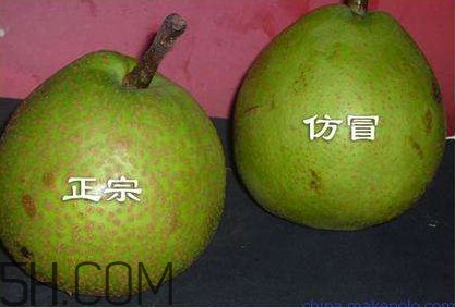 萊陽梨幾月份才會有？正宗萊陽梨哪里能買的到