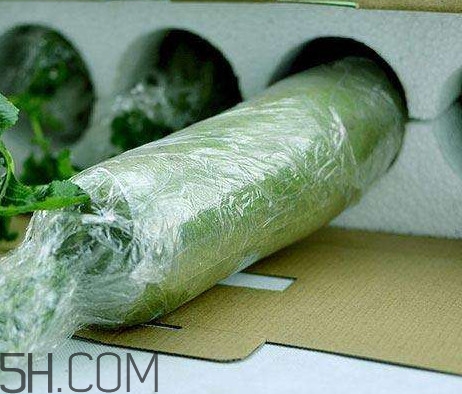 如何鑒別真假沙窩蘿卜？沙窩蘿卜怎么區(qū)分好壞