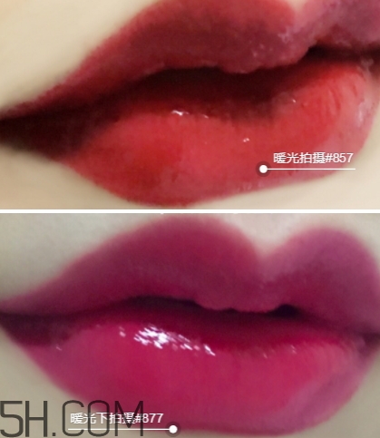 迪奧857和877哪個(gè)好看？迪奧857和877試色對比