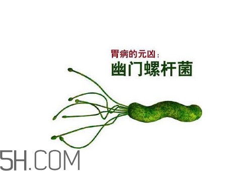 胃幽門螺旋菌陽(yáng)性怎么辦？幽門螺桿菌能徹底治愈嗎
