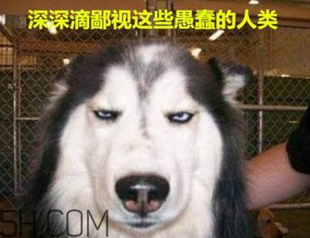 女生說我醉了什么意思？女生說喝多了怎么回復(fù)