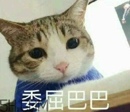 女人說再說吧什么意思？女生再說吧怎么回復(fù)？