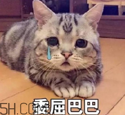 女人說再說吧什么意思？女生再說吧怎么回復(fù)？
