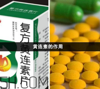黃連素能降血糖嗎？黃連素能經(jīng)常吃嗎？