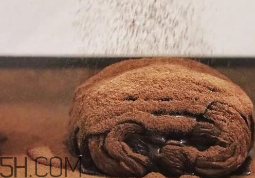 巧克力臟臟包怎么做？巧克力臟臟包的做法