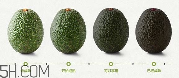 生牛油果可以放冰箱嗎？生牛油果怎么保存？