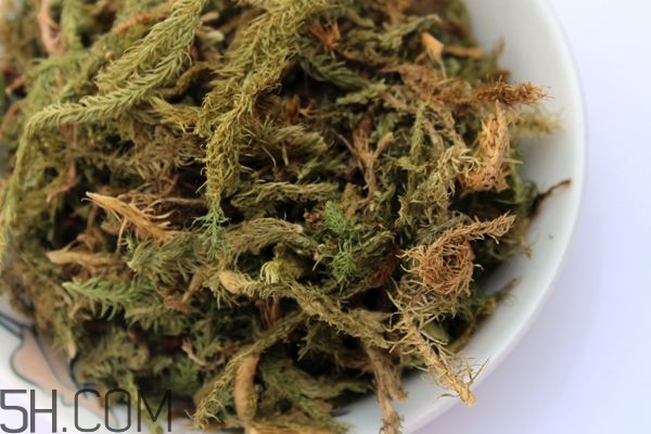 什么是伸筋草？伸筋草的功效與作用是什么？