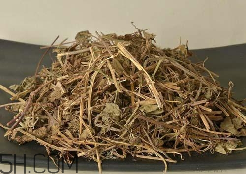 什么是透骨草？透骨草的功效與作用是什么？