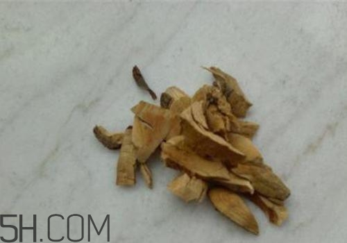 什么是丁公藤？丁公藤的功效與作用是什么？