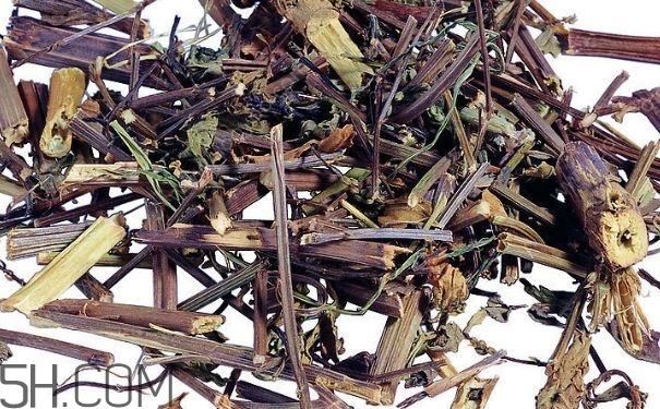 艾葉草洗澡有什么好處？怎么挑選艾葉草？