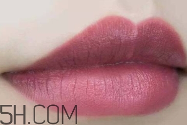 mac twig和brick o la一樣嗎？mac twig和brick o la試色對比