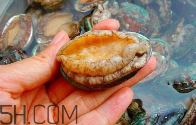 鮑魚怎么做好吃？吃鮑魚注意事項(xiàng)