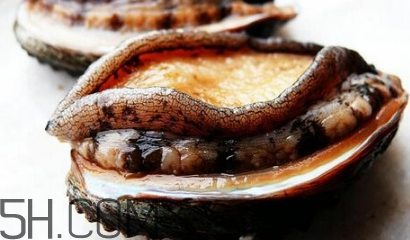 新鮮鮑魚(yú)怎么洗才干凈？鮑魚(yú)做法大全