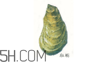 吃生蠔應(yīng)該注意哪些事項(xiàng)？生蠔與牡蠣的區(qū)別