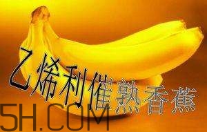 冬天可以吃葡萄嗎？冬天吃葡萄好不好？