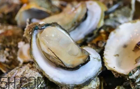 生蠔生吃好嗎？生蠔怎么吃最有營養(yǎng)？