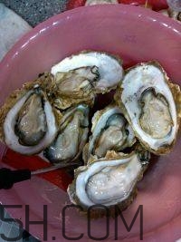 吃生蠔應(yīng)該注意哪些事項(xiàng)？生蠔與牡蠣的區(qū)別