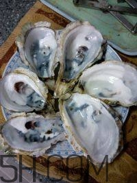 吃生蠔應(yīng)該注意哪些事項(xiàng)？生蠔與牡蠣的區(qū)別