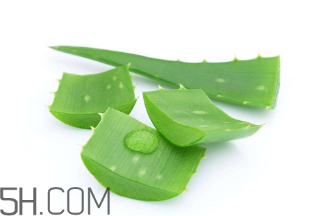 雅麗潔蘆薈膠怎么用？雅麗潔蘆薈膠使用方法
