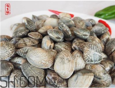 花甲可以冷凍嗎？養(yǎng)花甲鹽和水的比例是多少？