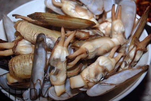 蟶子里面的黑色能吃嗎？蟶子為什么一撒鹽就出來？