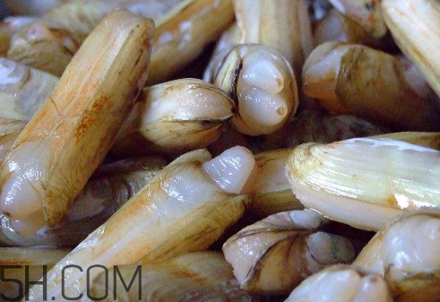 蟶子里面的黑色能吃嗎？蟶子為什么一撒鹽就出來？