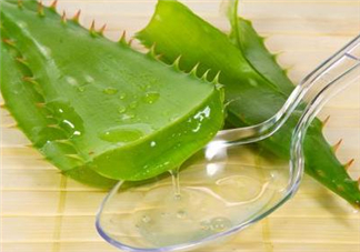 自然樂園蘆薈膠孕婦可以用嗎？自然樂園蘆薈膠使用心得