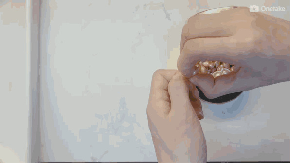 雅頓金膠怎么打開？雅頓金膠膠囊怎么扭開？