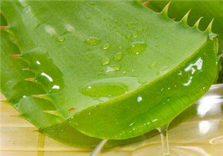自然樂園蘆薈膠怎么用？自然樂園蘆薈膠使用方法