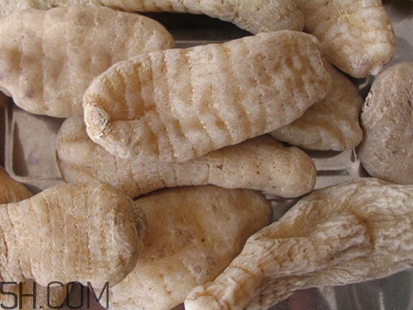 天麻能泡水喝嗎？吃天麻有什么作用？