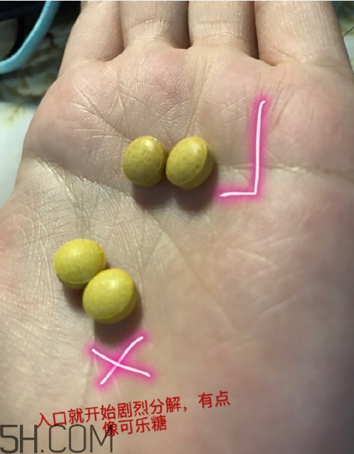 新谷酵素多少錢一盒？新谷酵素真假辨認(rèn)