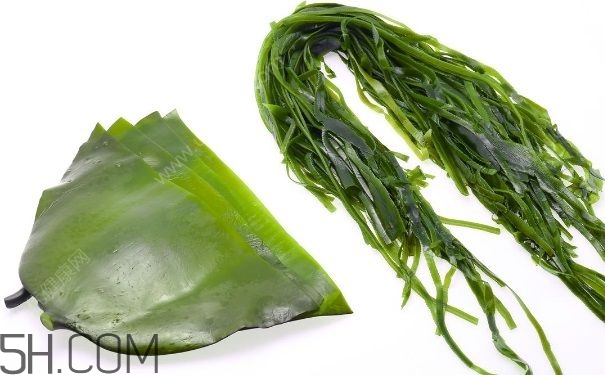 海帶的做法有哪些？怎么挑選優(yōu)質(zhì)海帶？