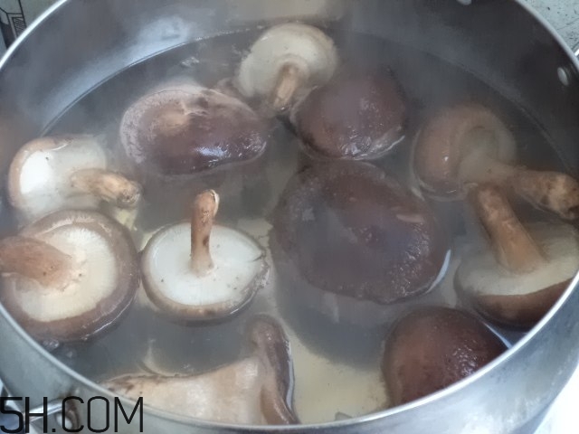 香菇和白蘿卜可以一起吃嗎？香菇和白蘿卜一起吃有什么好處？
