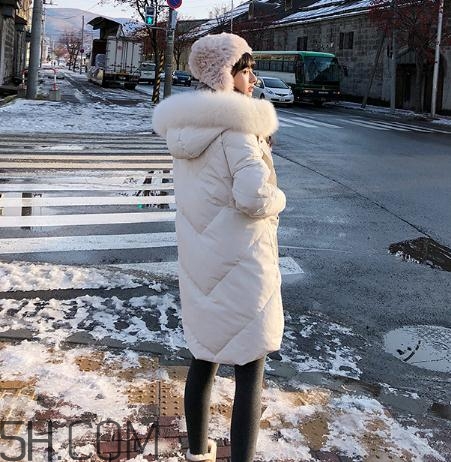 鵝絨羽絨服大概多少錢？白鵝絨羽絨服多少錢一件？