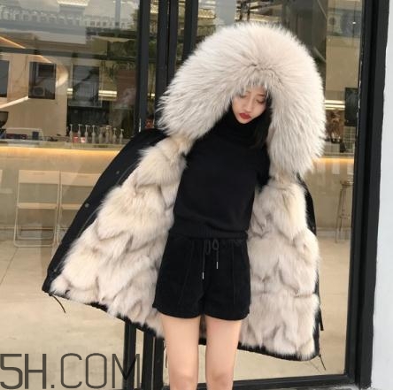 派克大衣內(nèi)膽什么毛好？派克服什么內(nèi)膽好？