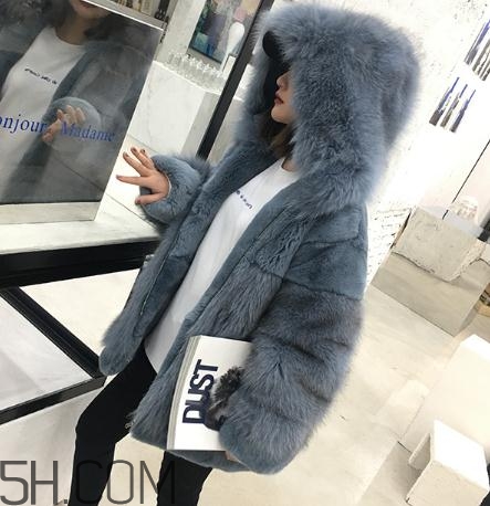 獺兔毛皮草一千元貴嗎？獺兔毛皮草2018年價格