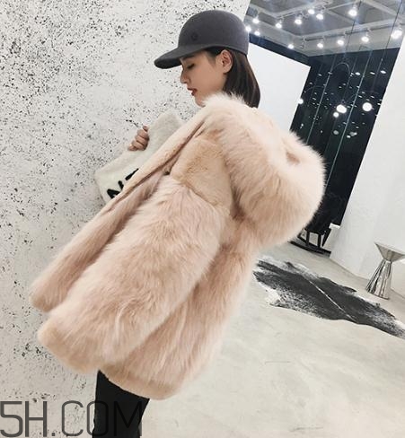 獺兔毛和兔毛哪個好？獺兔毛和兔毛的區(qū)別