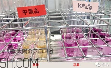 太陽社玻尿酸孕婦能用嗎？怎樣辯別真假太陽社玻尿酸？