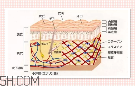 水光針可以祛斑嗎？涂抹式水光針的效果好嗎？