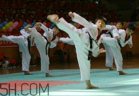 武術(shù)和跆拳道哪個(gè)對(duì)孩子好？武術(shù)和跆拳道的區(qū)別在哪里？