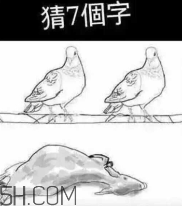 52422696代表什么意思？女生發(fā)52422696暗示什么
