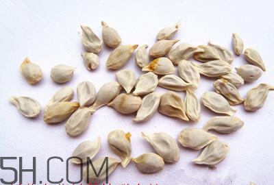 不小心吃了橘子籽怎么辦？橘子籽可以生吃嗎？