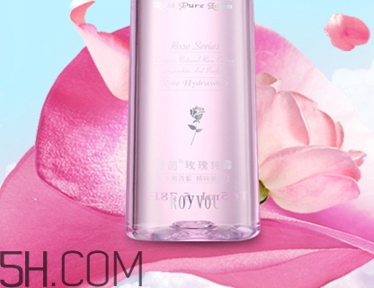 royvol萊茵是什么牌子？royvol萊茵是哪個國家的