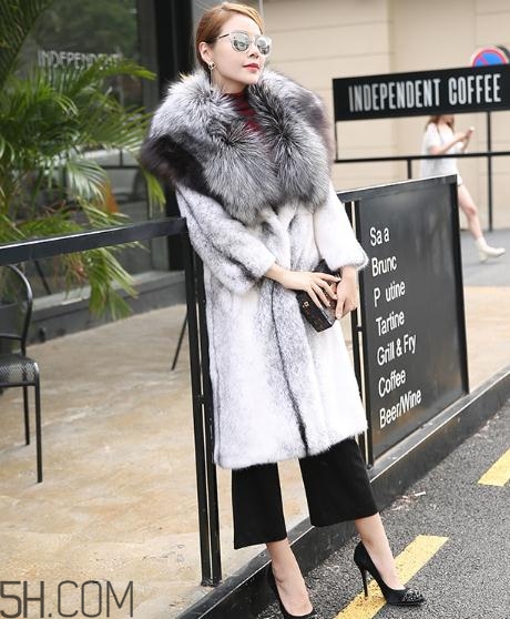 丹麥貂好還是美國貂好？丹麥貂和美國貂的區(qū)別