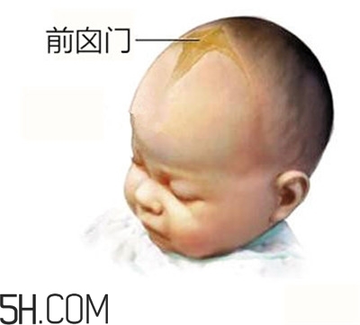 寶寶囟門是怎樣的一個(gè)部位？寶寶的囟門要怎樣保護(hù)比較好？