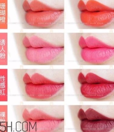 唇膏盤怎么用？口紅盤怎么用法