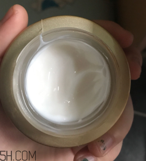 詩婷露雅蝸牛面霜適合秋冬嗎？適合油皮嗎？