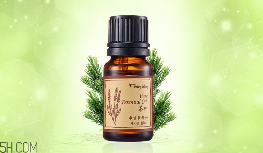 茶樹精油可以直接涂在臉上嗎？茶樹精油的功效與作用？