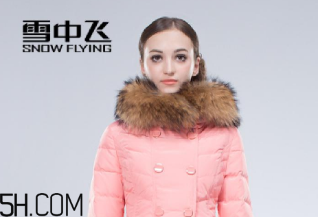 最貴的羽絨服什么價格？羽絨服什么牌子的好？