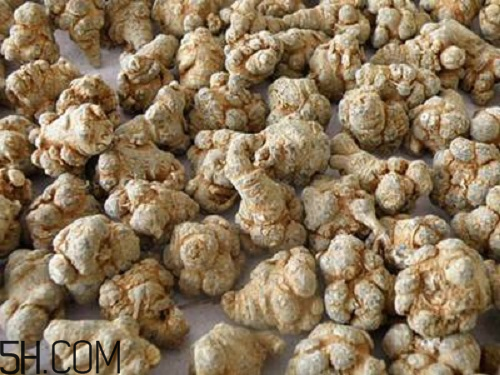 三七粉苦的好還是不苦的好？三七粉越苦越好嗎？